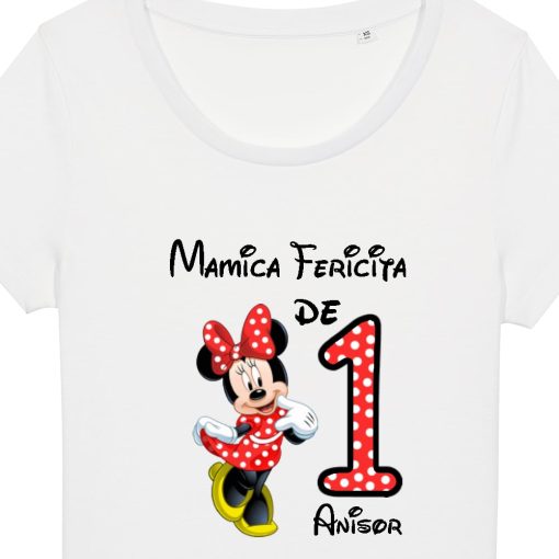 Set 3 tricouri familie adulti si bebe - familie fericita de 1 anisor cu Mickey