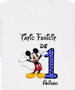 Set 3 tricouri familie adulti si bebe - familie fericita de 1 anisor cu Mickey