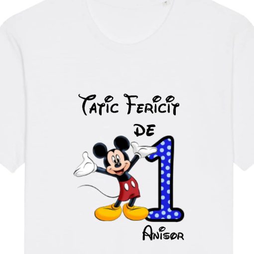 Set 3 tricouri familie adulti si bebe - familie fericita de 1 anisor cu Mickey